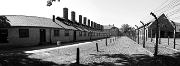Panorama 36